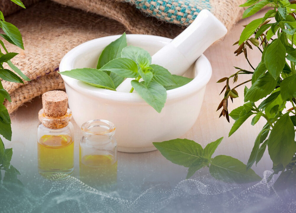 Living Herbal Website Design in Harrogate