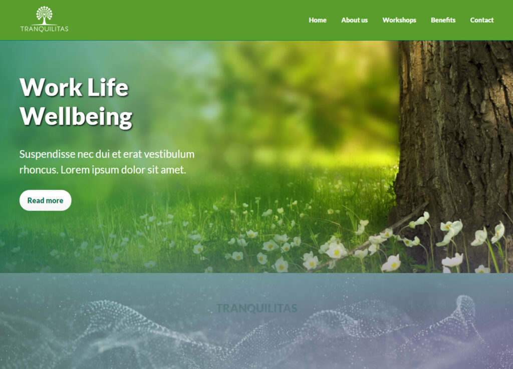 Tranquilitas Website Design
