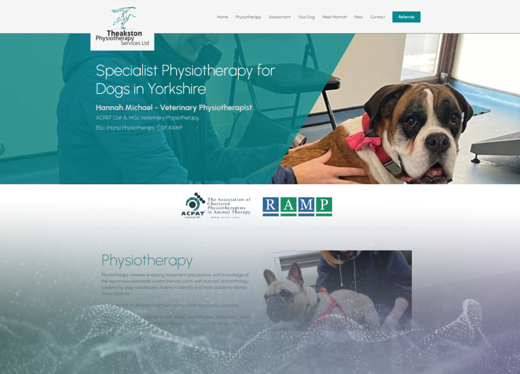 Theakston Physiotherapy Services Website Design in Horsforth